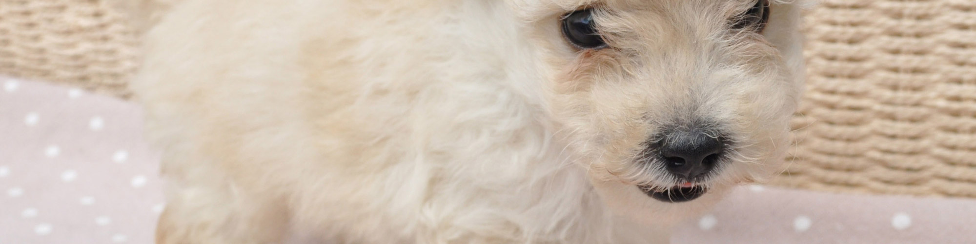 イメージ イメージ